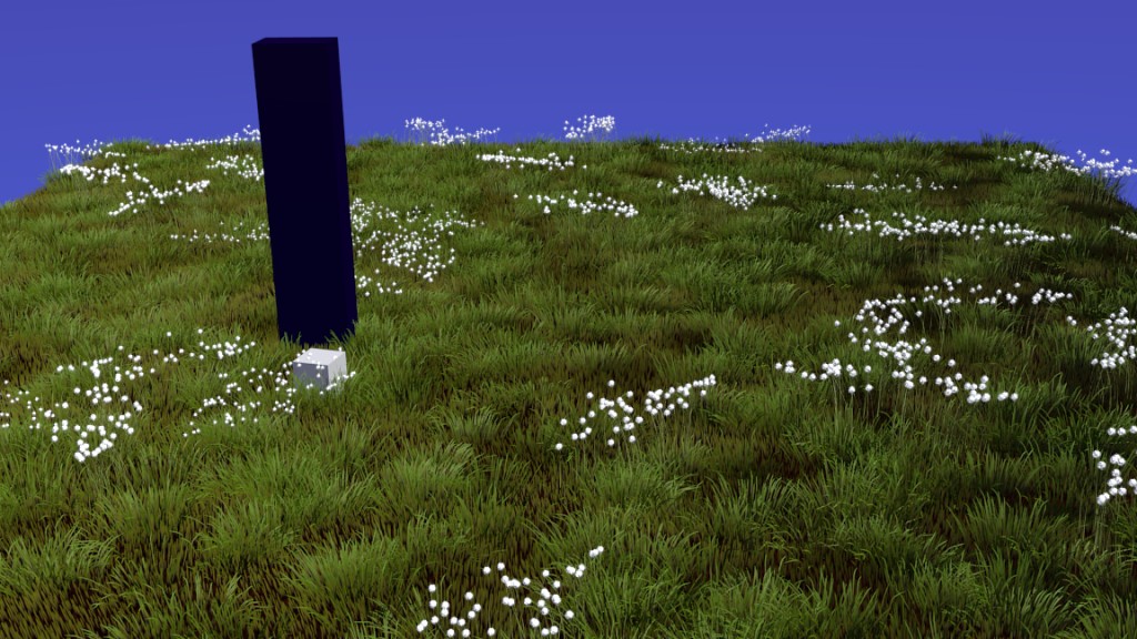 Cotton Grass preview image 1